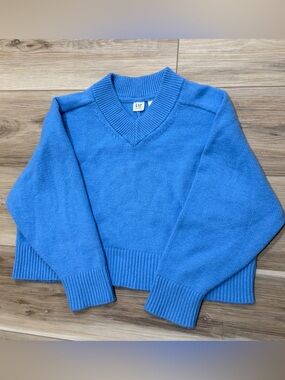 Gap Kids Blue Sweater V Neck Sz L 10